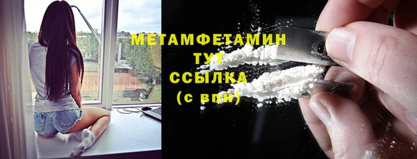прущие грибы Аркадак