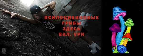 ГАЛЛЮЦИНОГЕННЫЕ ГРИБЫ Арсеньев