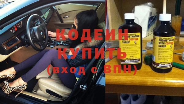 ГАЛЛЮЦИНОГЕННЫЕ ГРИБЫ Арсеньев