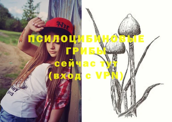прущие грибы Аркадак