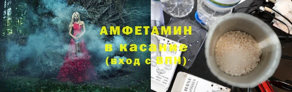 прущие грибы Аркадак