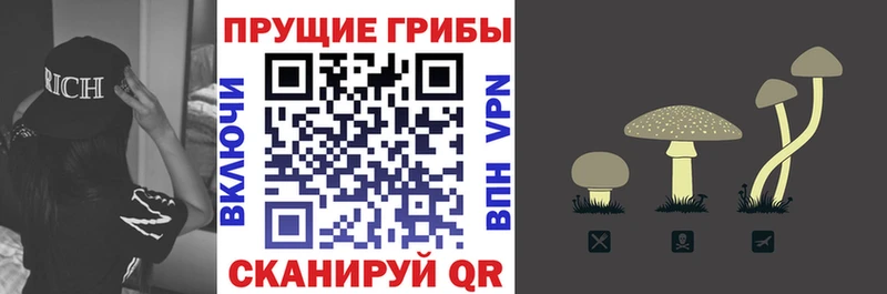 Псилоцибиновые грибы мицелий Онега